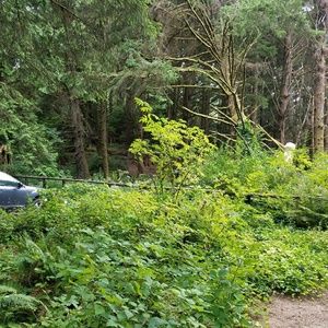 Meet your Posher, Davina